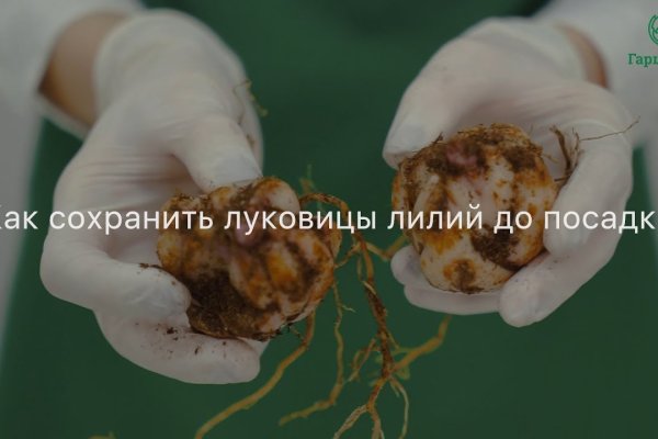 Кракен что там продают