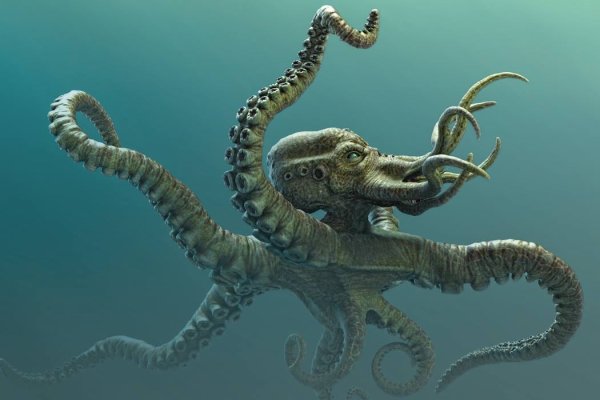 2kr kraken