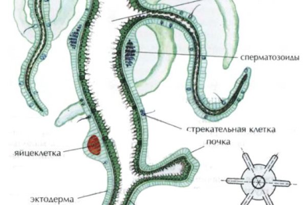 Кракен даркнет только через тор скачать