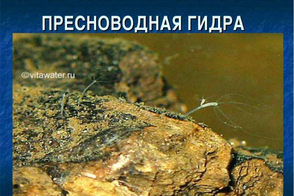 Кракен купить мефедрон