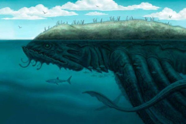 Www kraken 20at net