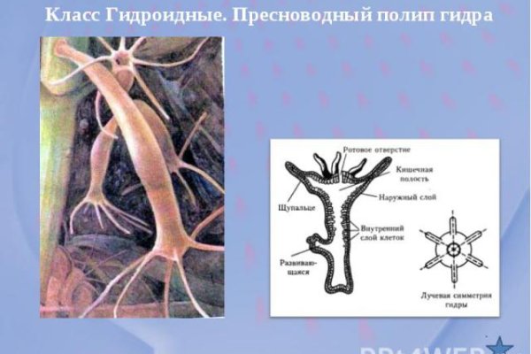 Кракен маркетплейс kr2connect co
