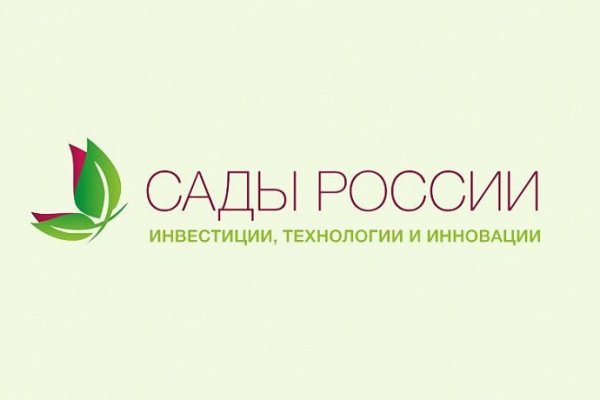 Сайт кракен россия