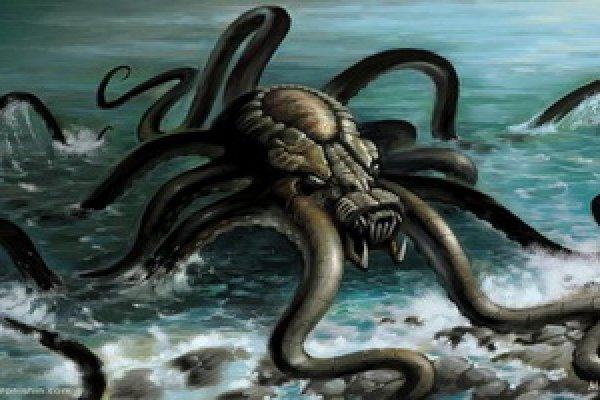 Kraken 12at
