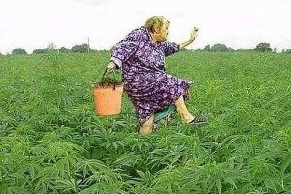 Кракен точка ат