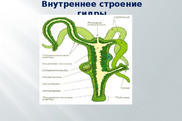 Kraken официальный сайт ссылка через tor