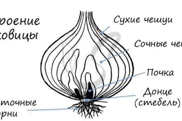 Ссылки зеркала на kraken