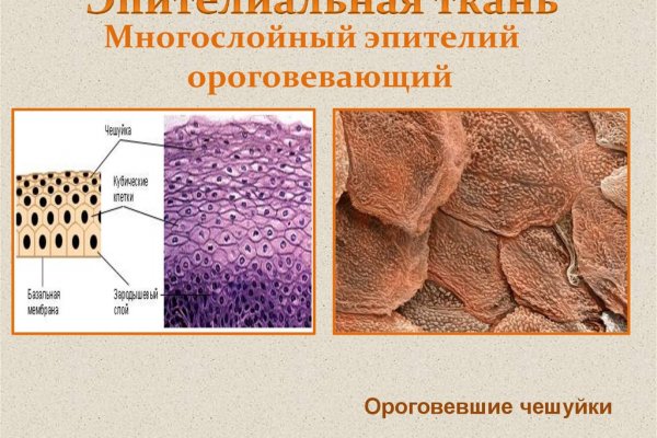 Дарк нет кракен
