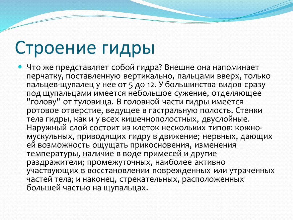 2 krn